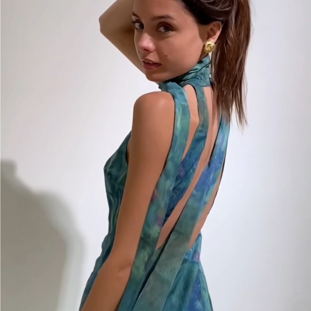 RARE - NWT Monet Dress - Irises - Picture 6 of 8